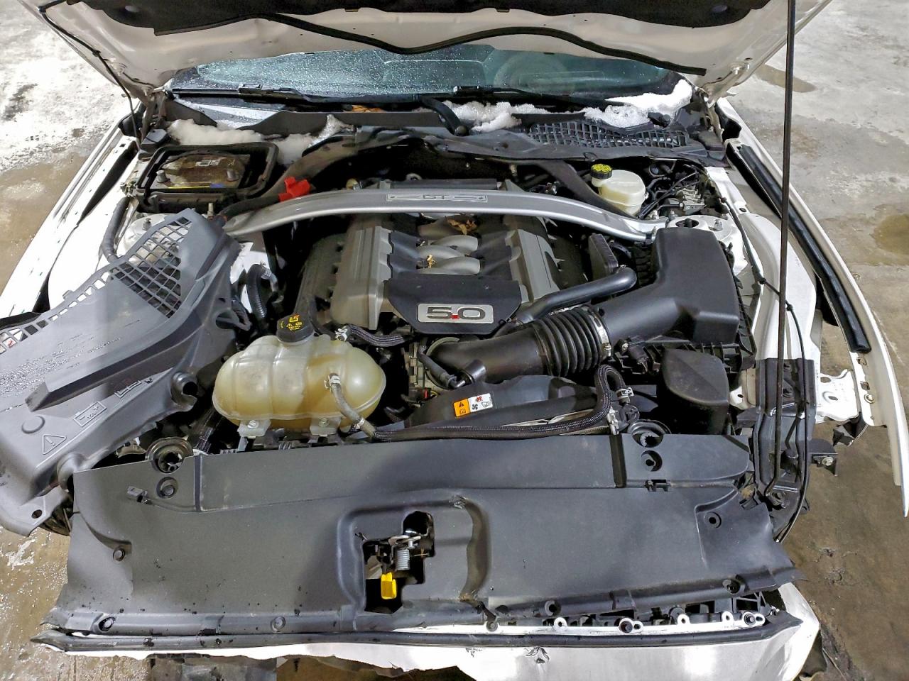 2017 Ford Mustang Gt VIN: 1FATP8FF4H5289102 Lot: 94928575