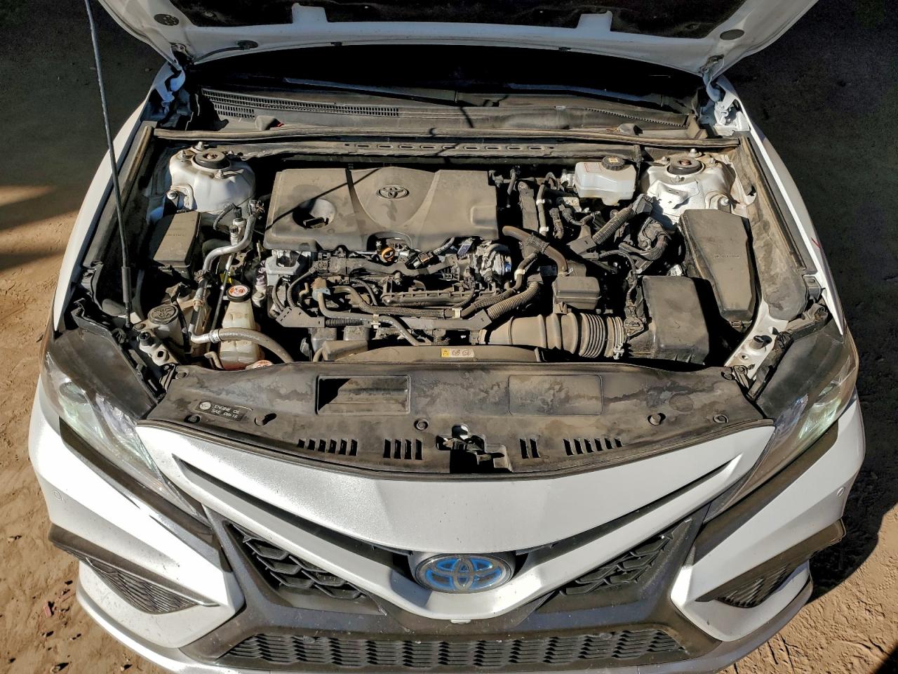 2021 Toyota Camry Xse VIN: 4T1K31AK9MU020831 Lot: 96302585