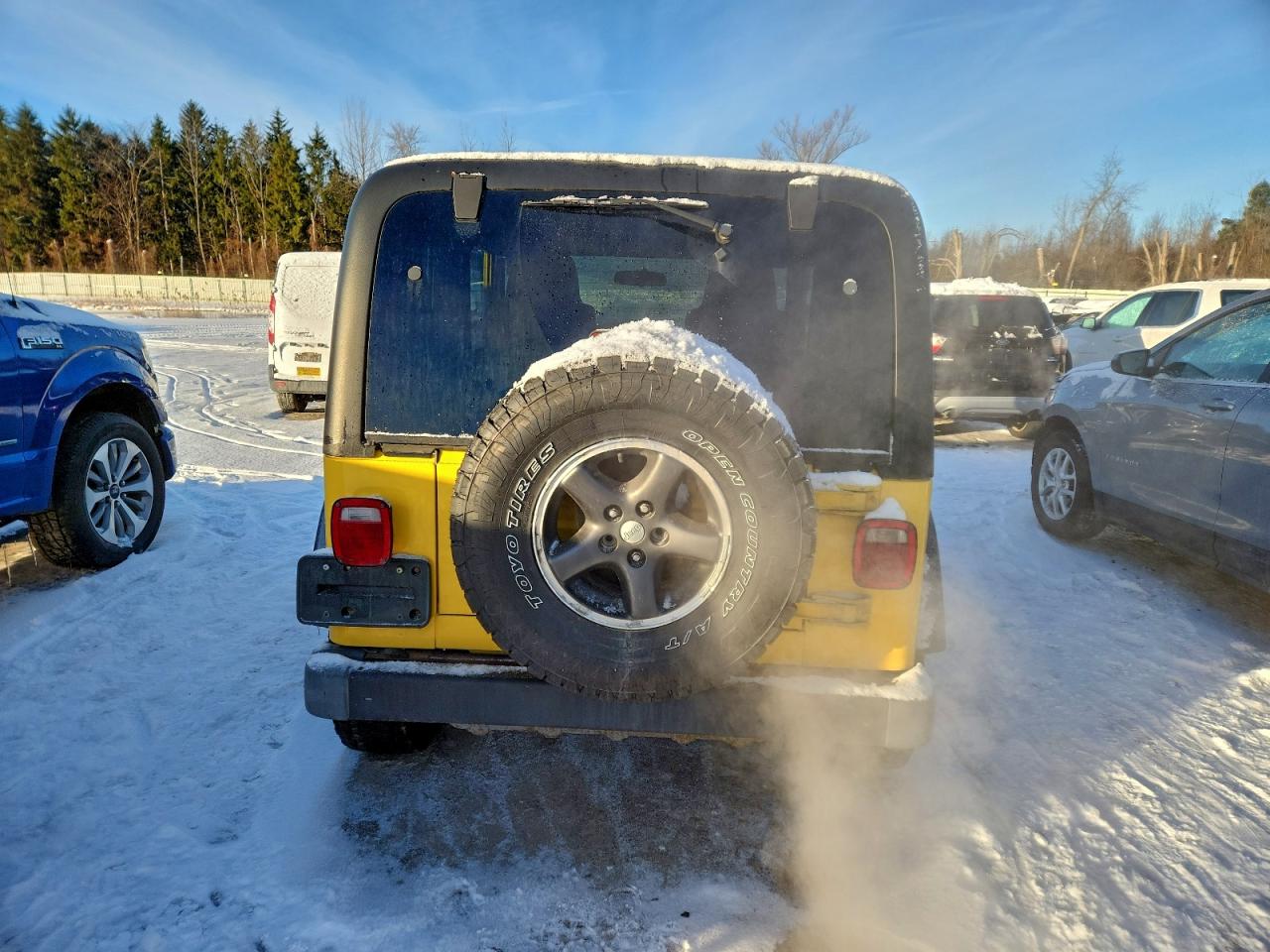 2004 Jeep Wrangler X VIN: 1J4FA39S84P739136 Lot: 95039645