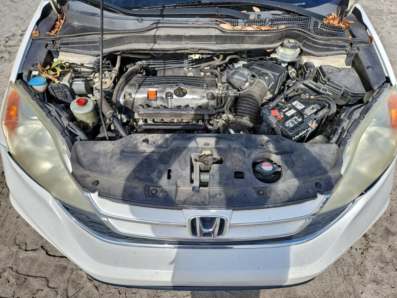 2010 Honda Cr-V Exl VIN: 5J6RE3H70AL033702 Lot: 96151135