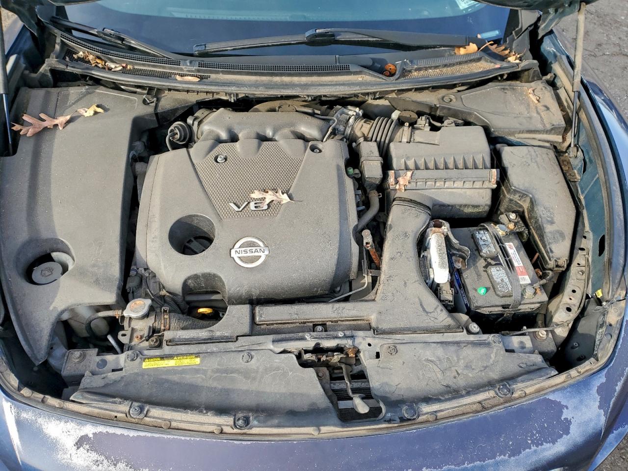 2009 Nissan Maxima S VIN: 1N4AA51E09C854593 Lot: 96028235