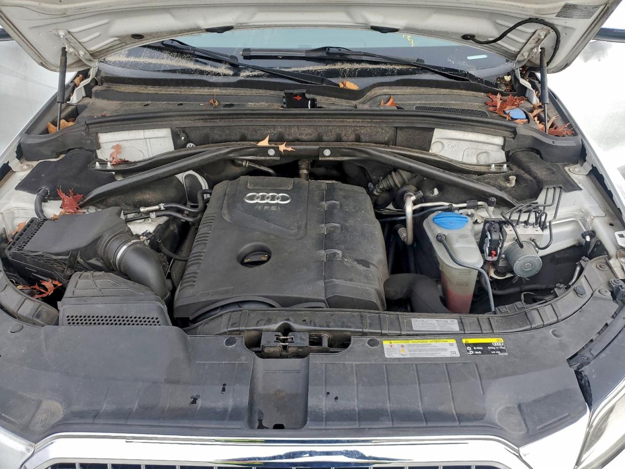 2013 Audi Q5 Premium Plus VIN: WA1LFAFP2DA016099 Lot: 95411905