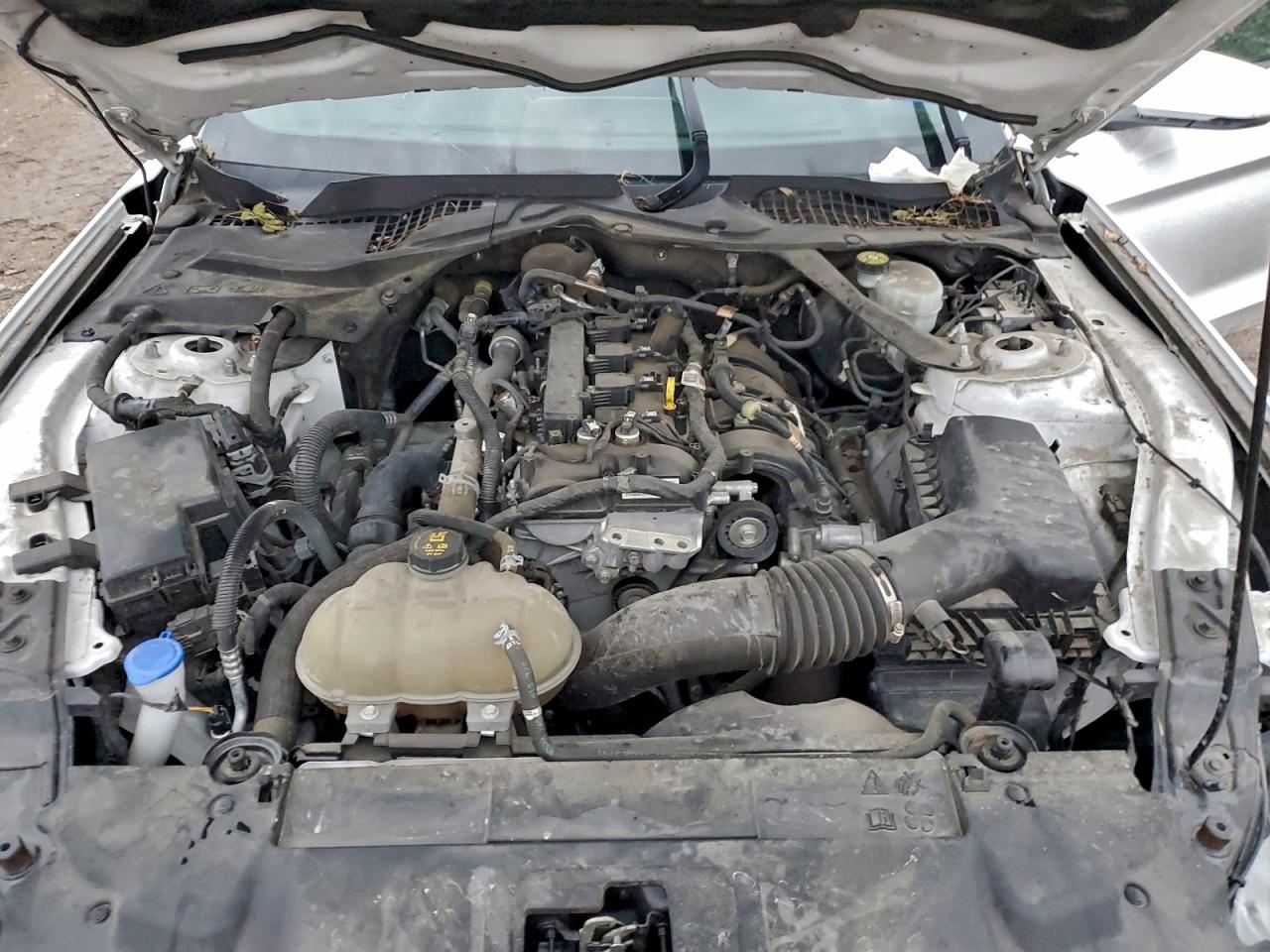 2021 Ford Mustang VIN: 1FA6P8TH5M5111812 Lot: 95336375