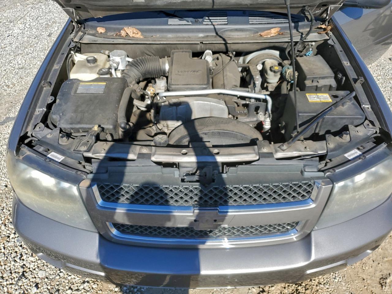 2009 Chevrolet Trailblazer Lt VIN: 1GNDT33S192102942 Lot: 96770225