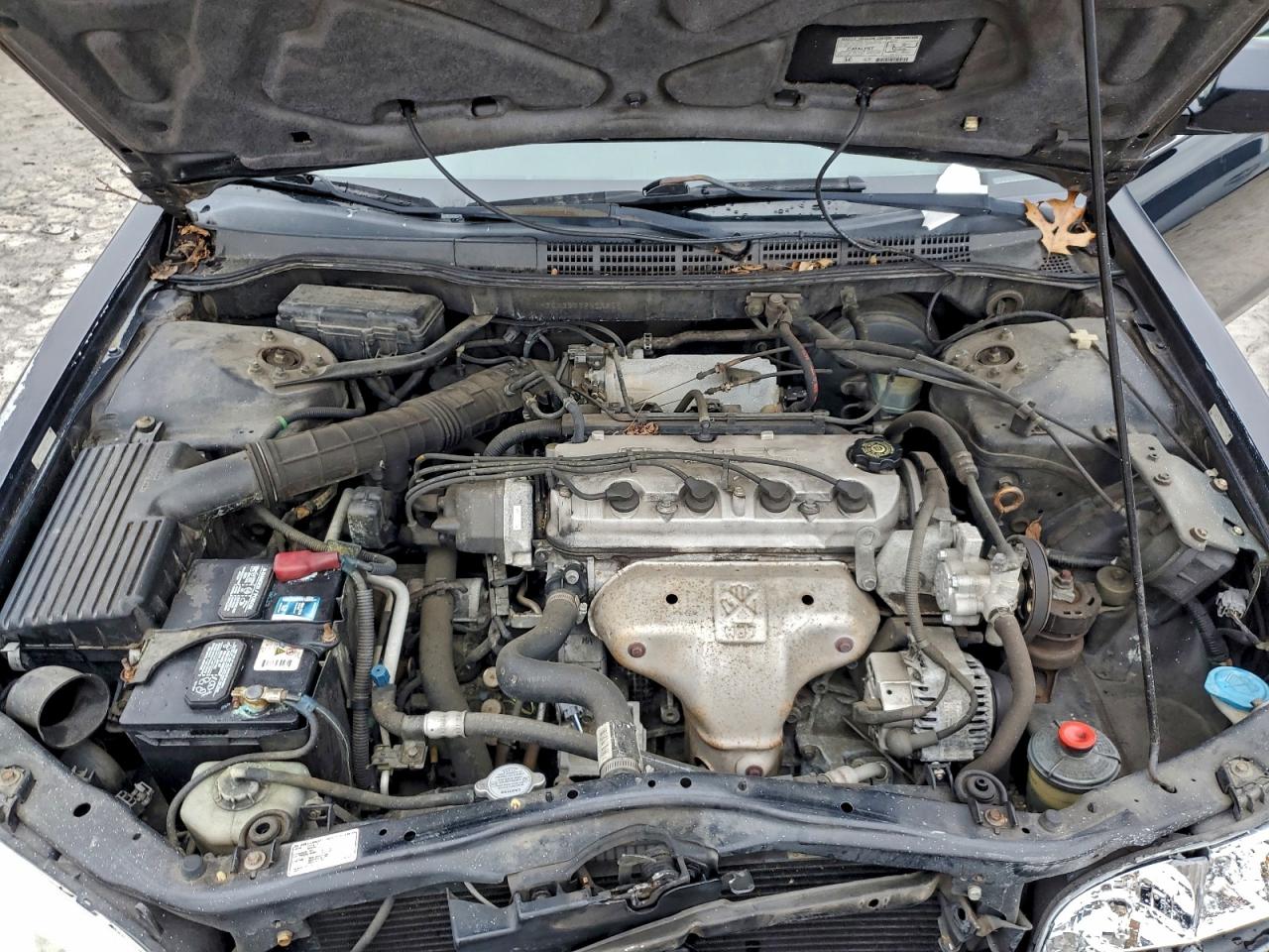 2002 Honda Accord Se VIN: 1HGCG32022A028551 Lot: 94967555