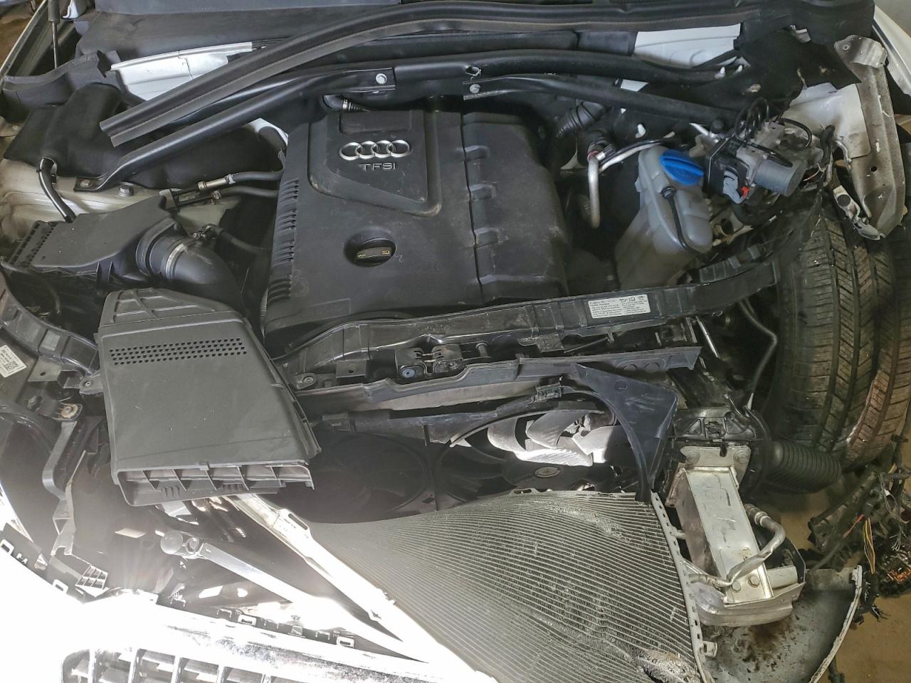 2015 Audi Q5 Premium Plus VIN: WA1LFAFP5FA006301 Lot: 95779435