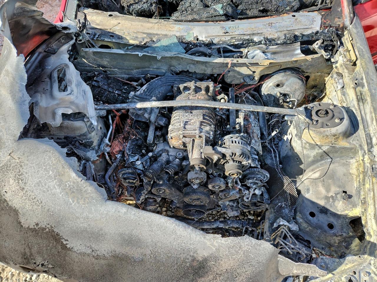 2009 Ford Mustang Gt VIN: 1ZVHT82H695105327 Lot: 97520165