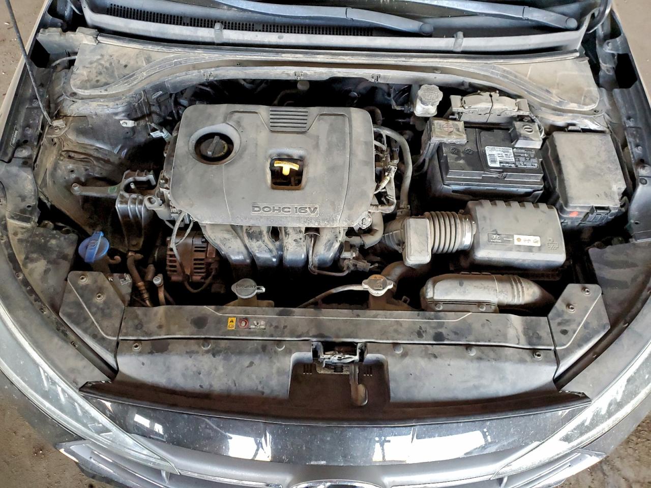 2019 Hyundai Elantra Se VIN: 5NPD74LF2KH493982 Lot: 97118845