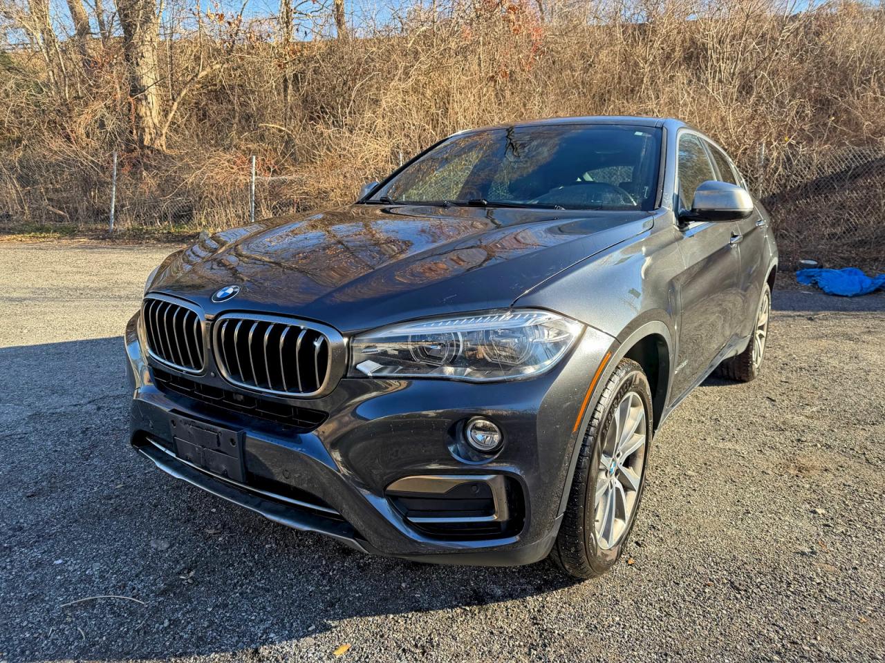2018 BMW X6 xDrive35I