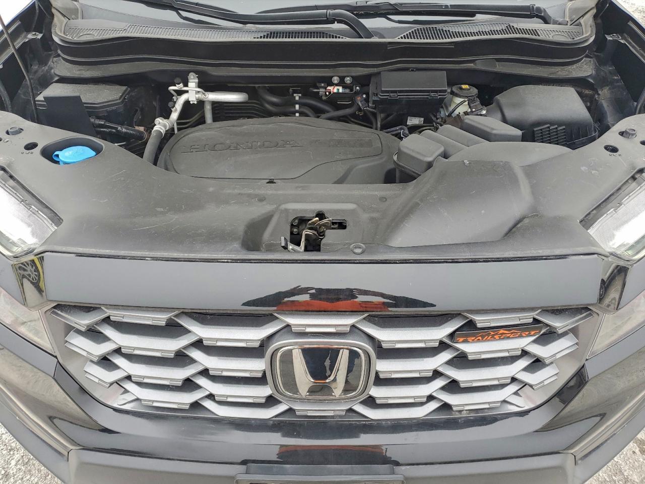 2023 Honda Passport Trail Sport VIN: 5FNYF8H63PB008839 Lot: 95703575