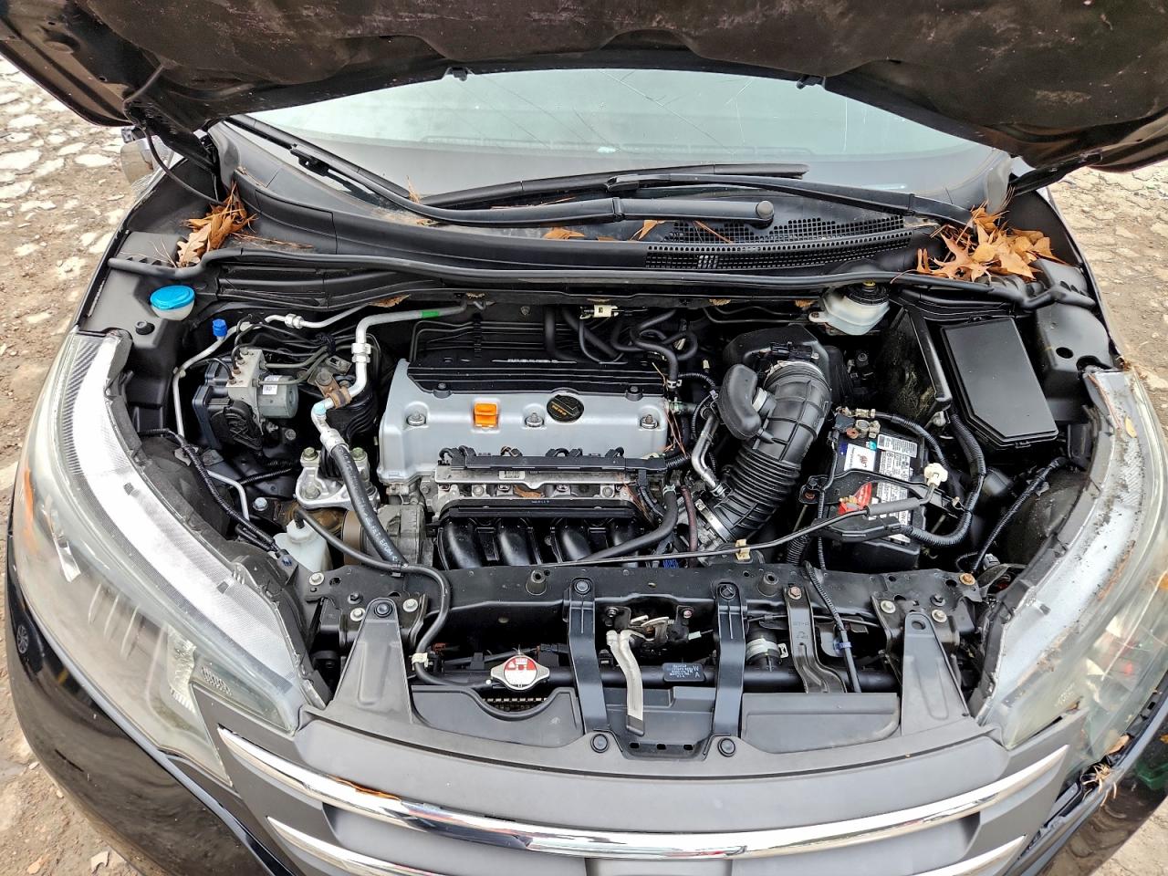 2014 Honda Cr-V Exl VIN: 2HKRM4H70EH699712 Lot: 94231705