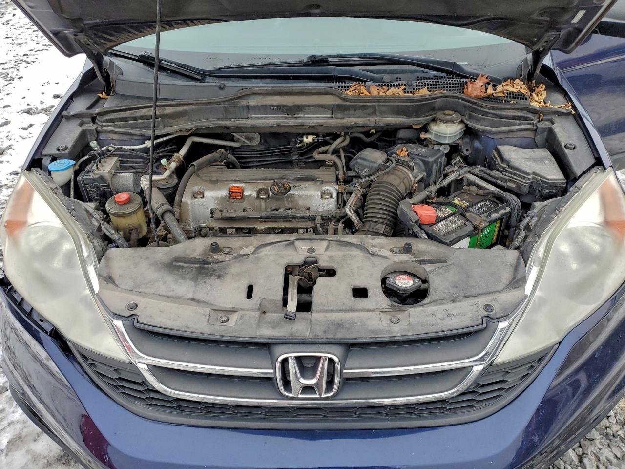 2011 Honda Cr-V Lx VIN: 5J6RE4H3XBL014790 Lot: 95907765