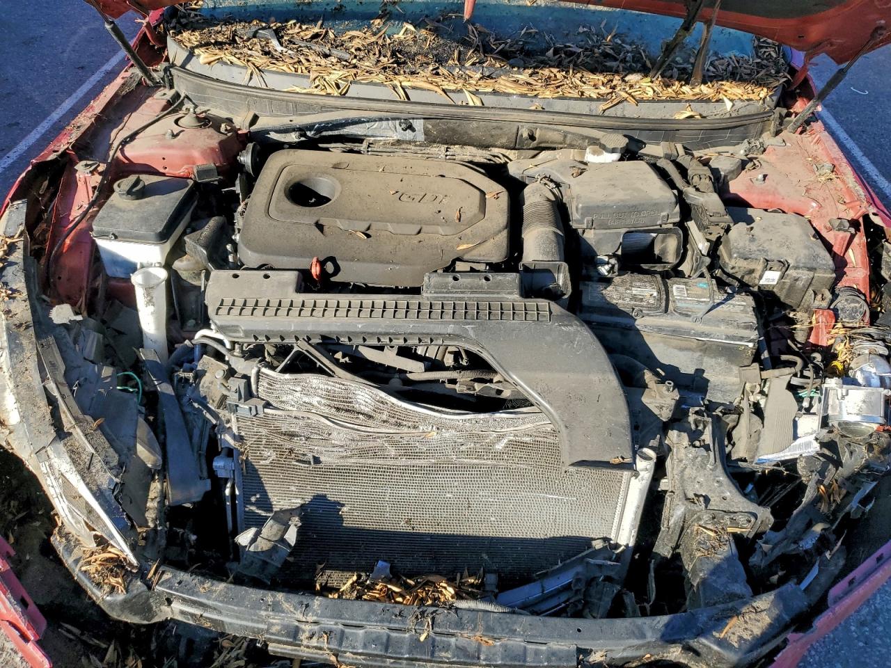 2017 Hyundai Sonata Se VIN: 5NPE24AF2HH557825 Lot: 94763305