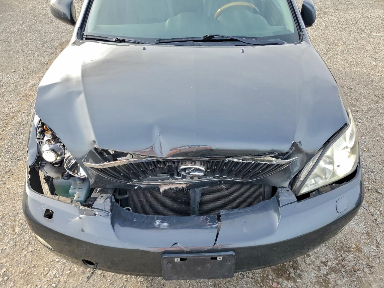 2007 Lexus Rx 350 VIN: 2T2HK31U67C001911 Lot: 95305255