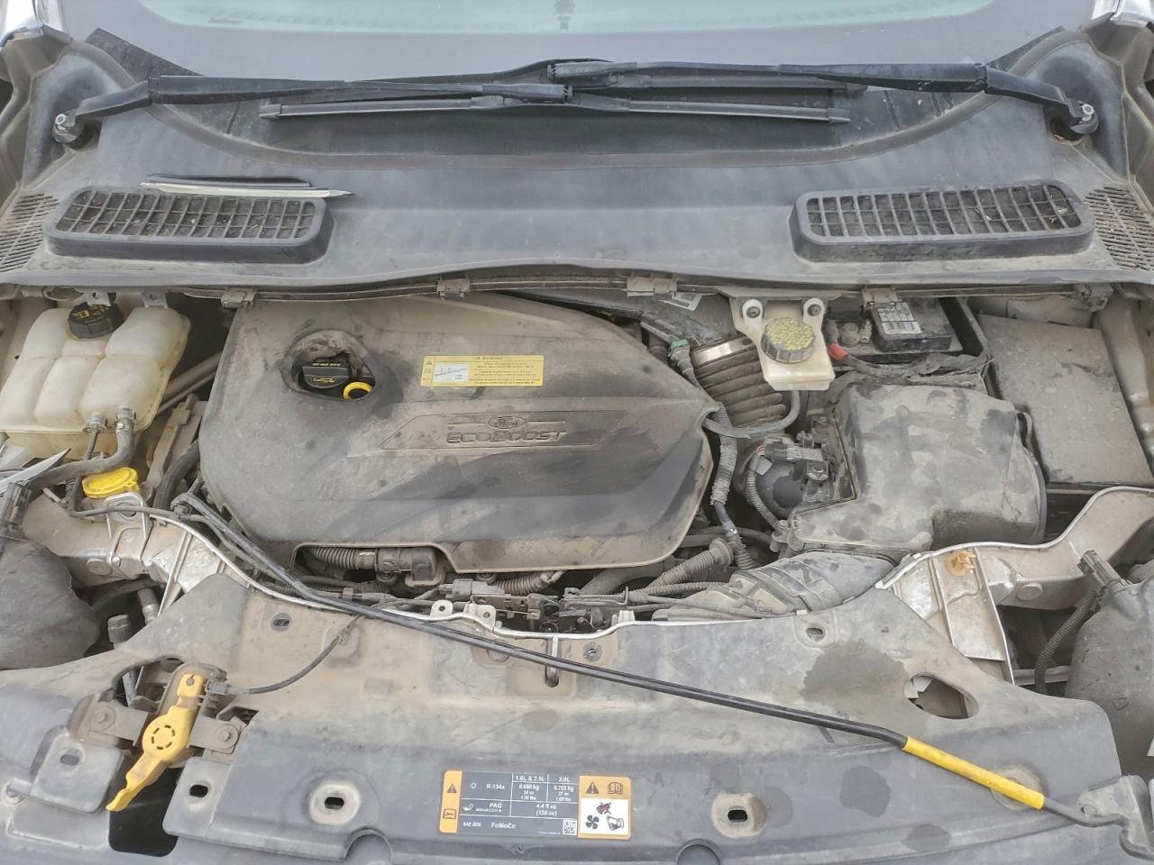 2013 Ford Escape Sel VIN: 1FMCU0HX9DUC24588 Lot: 97963465