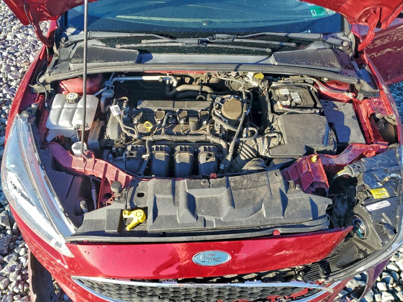 2016 Ford Focus Se VIN: 1FADP3K26GL254467 Lot: 97830105