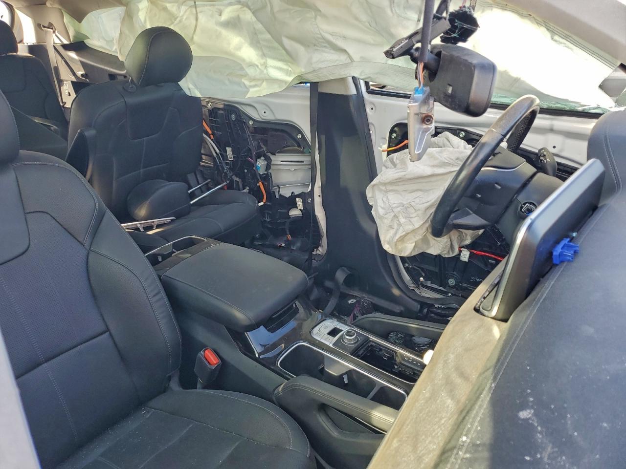 2021 Kia Telluride Sx VIN: 5XYP5DHC3MG173176 Lot: 95023135