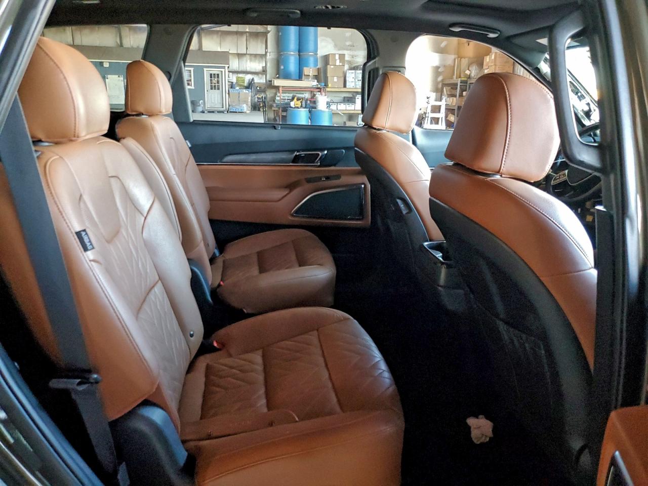 2024 Kia Telluride Sx VIN: 5XYP5DGCXRG519605 Lot: 95146945