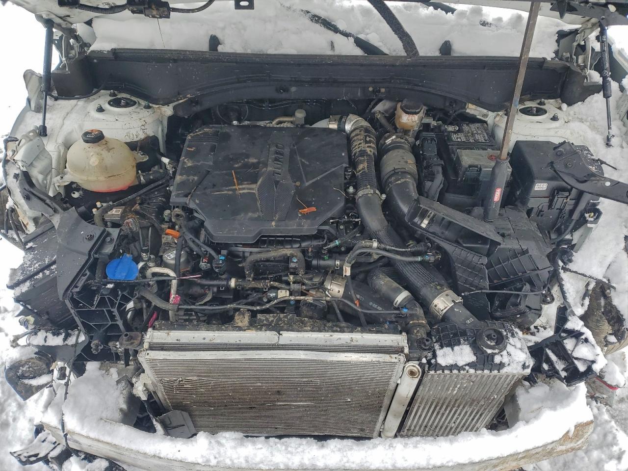 2024 Hyundai Santa Fe Sel VIN: 5NMP24GLXRH000195 Lot: 94737335