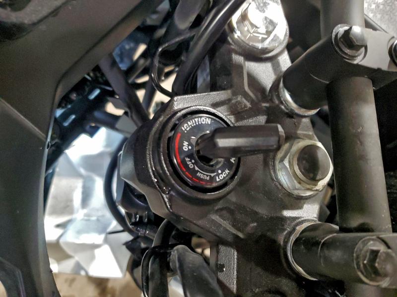 2024 KAWASAKI KL650 M  