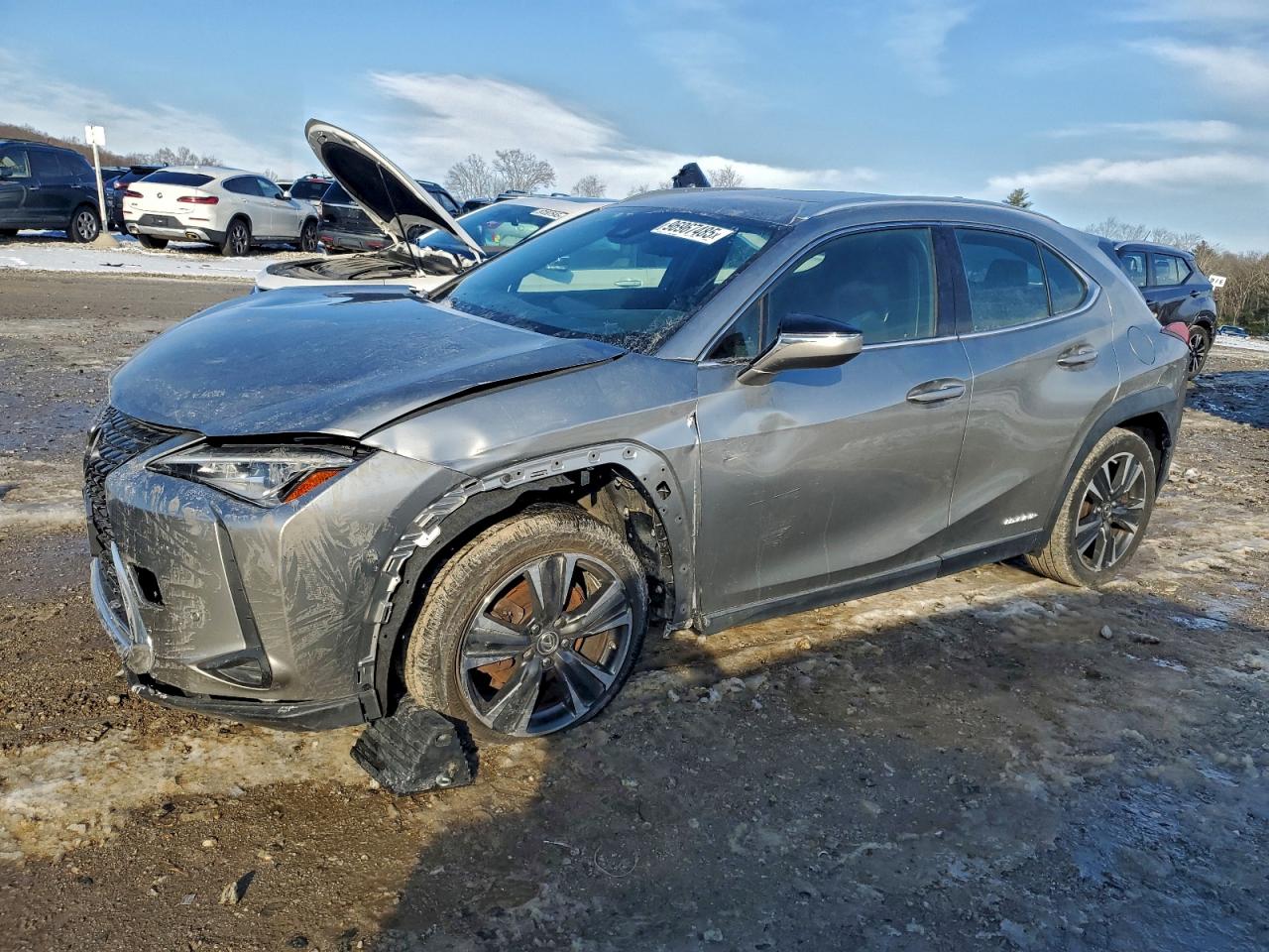 2019 Lexus Ux 250H VIN: JTHU9JBH7K2008831 Lot: 96967485