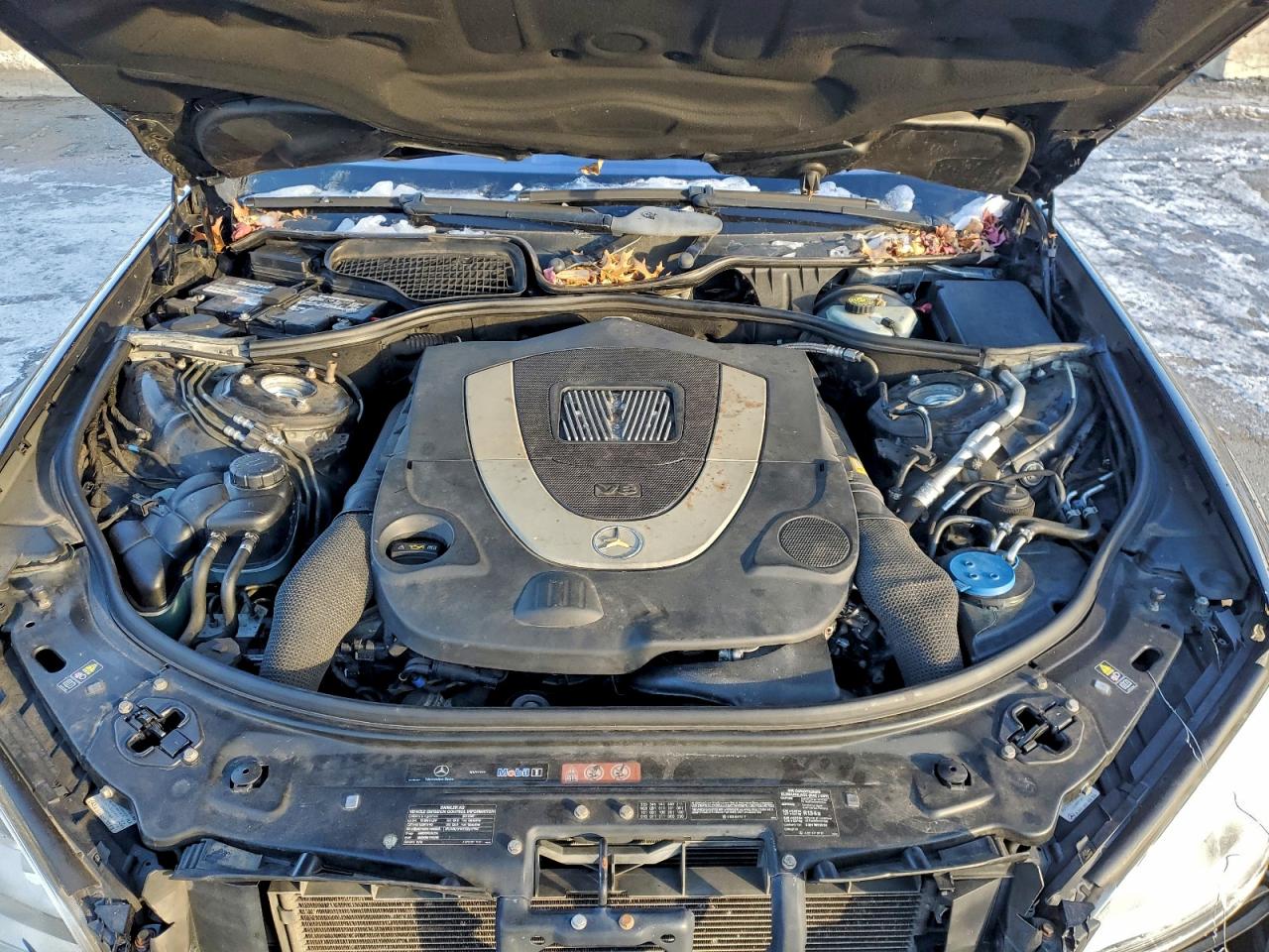 2010 Mercedes-Benz S 550 4Matic VIN: WDDNG8GB1AA334093 Lot: 94346915