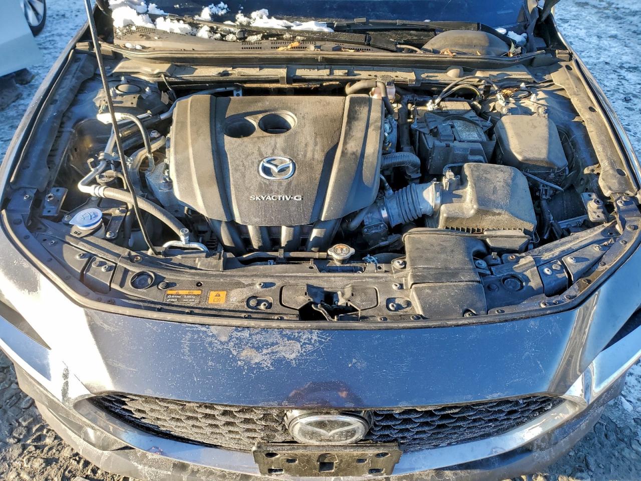 2020 Mazda 3 Premium VIN: 3MZBPBEM7LM123269 Lot: 97052935