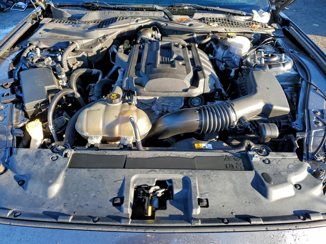 2018 Ford Mustang VIN: 1FA6P8TH1J5142020 Lot: 94950815