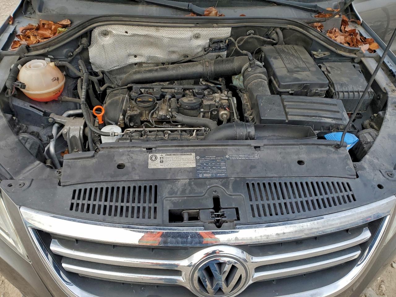 2009 Volkswagen Tiguan Se VIN: WVGBV95N69W525458 Lot: 95287685