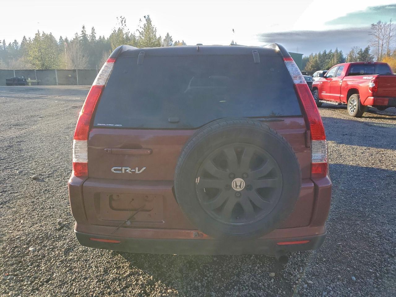 2006 Honda Cr-V Ex VIN: JHLRD78886C014558 Lot: 93981655