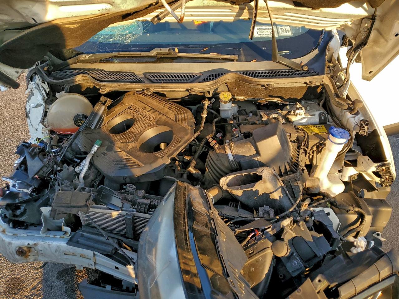 2019 Ford Ecosport Ses VIN: MAJ6S3JL8KC250964 Lot: 95091115