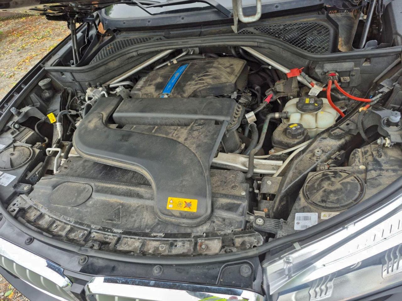 Фото: 5UXKT0C5XG0S75536