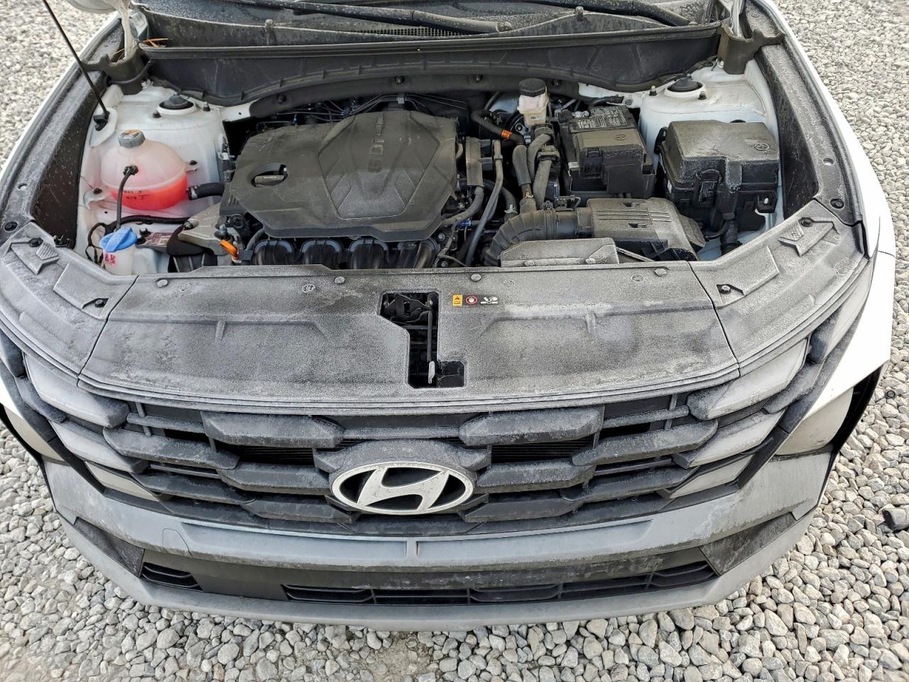 2025 Hyundai Tucson Sel VIN: 3KMJB3DE1SE011036 Lot: 97958815