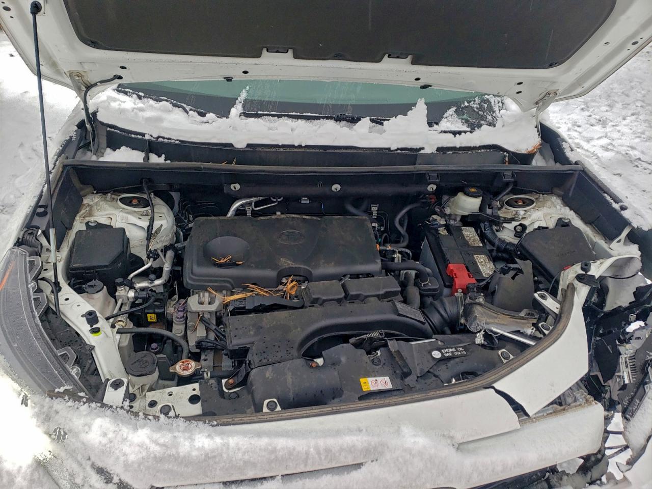 2021 Toyota Rav4 Xle VIN: 2T3P1RFV5MC168674 Lot: 94688475