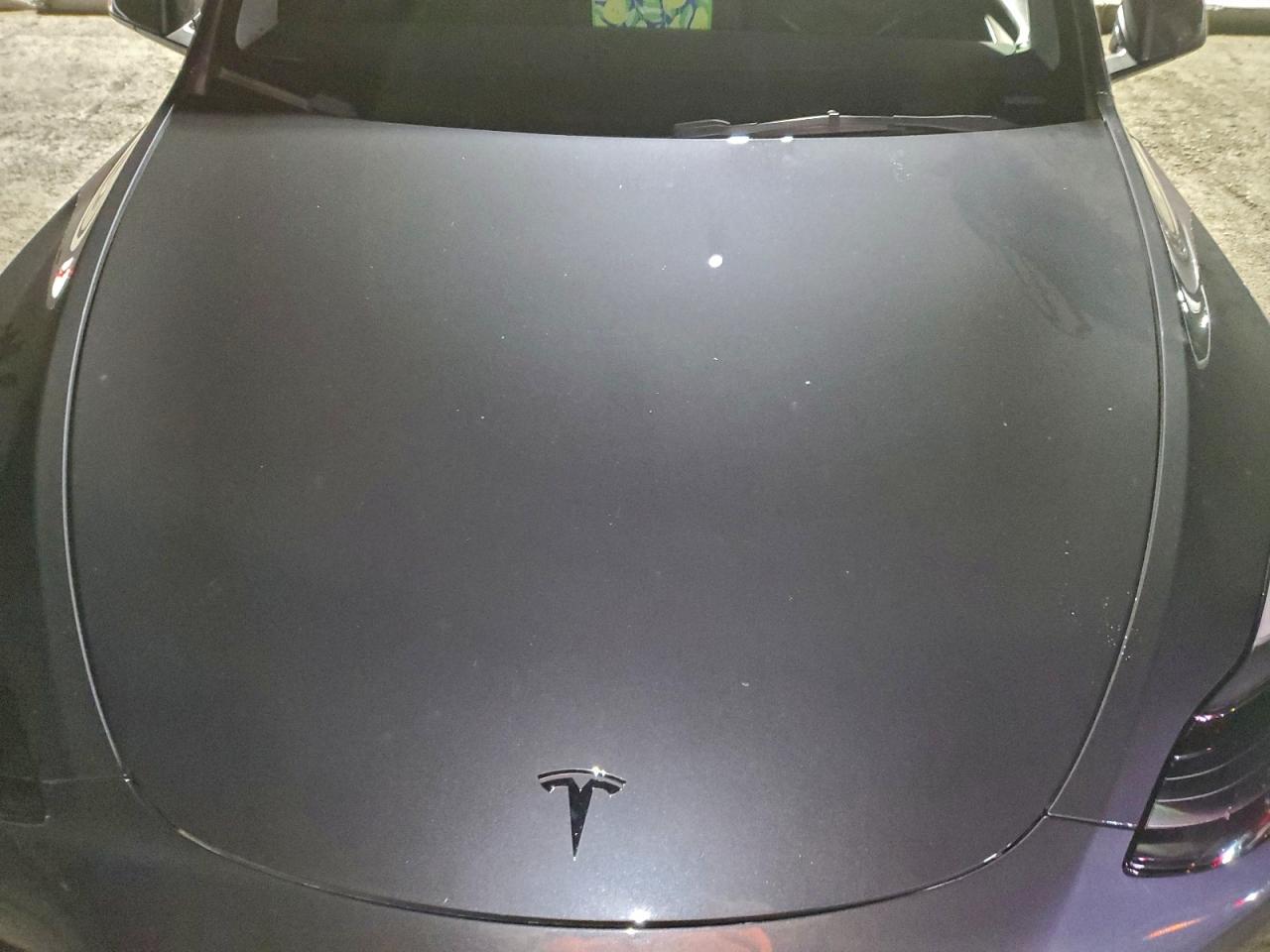 2023 Tesla Model Y VIN: 7SAYGDEFXPF782373 Lot: 95796405