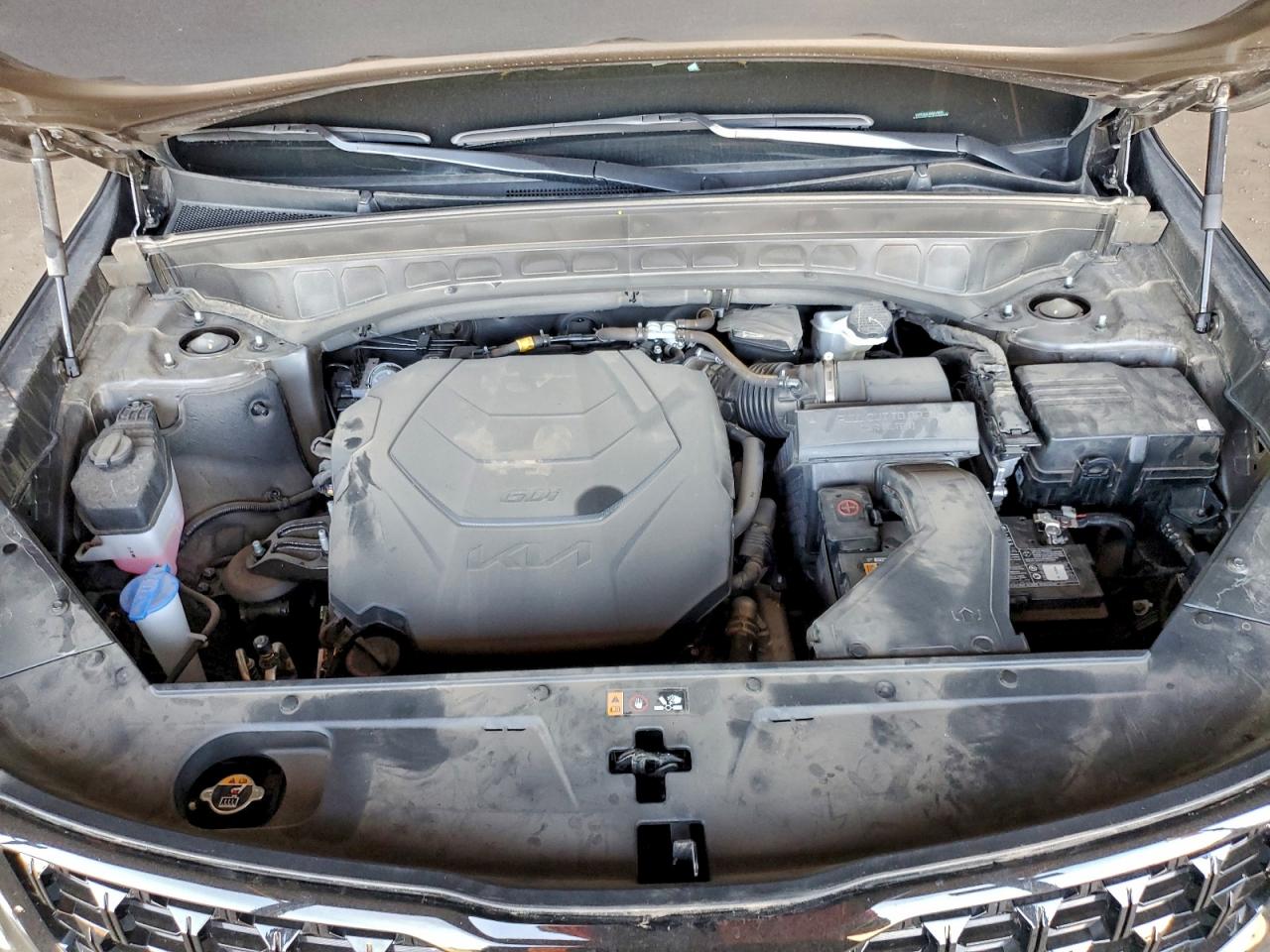 2024 Kia Telluride Sx VIN: 5XYP5DGCXRG519605 Lot: 95146945