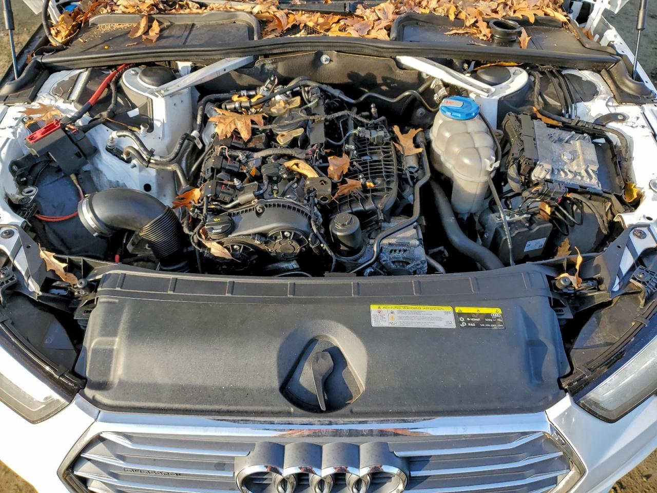 Фото: WAUDNAF49JA075288