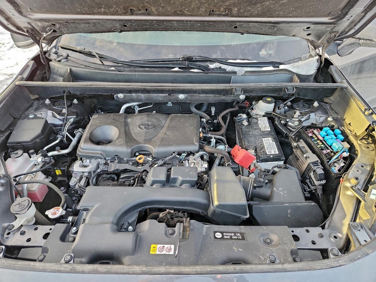 2023 Toyota Rav4 Le VIN: 2T3B1RFVXPC331687 Lot: 95289185