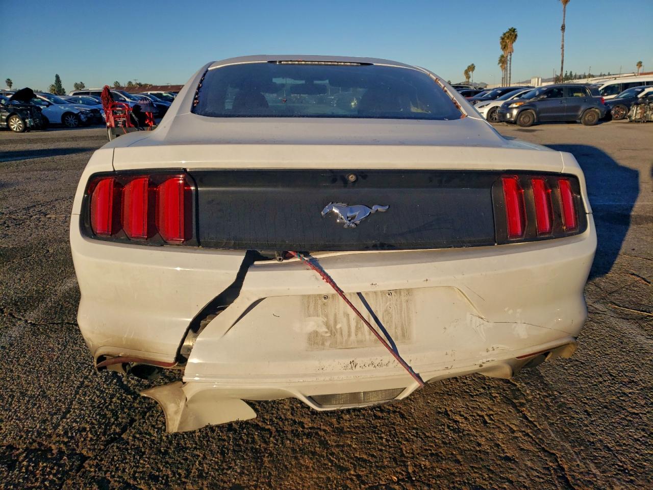 2017 Ford Mustang VIN: 1FA6P8TH9H5257118 Lot: 95110305