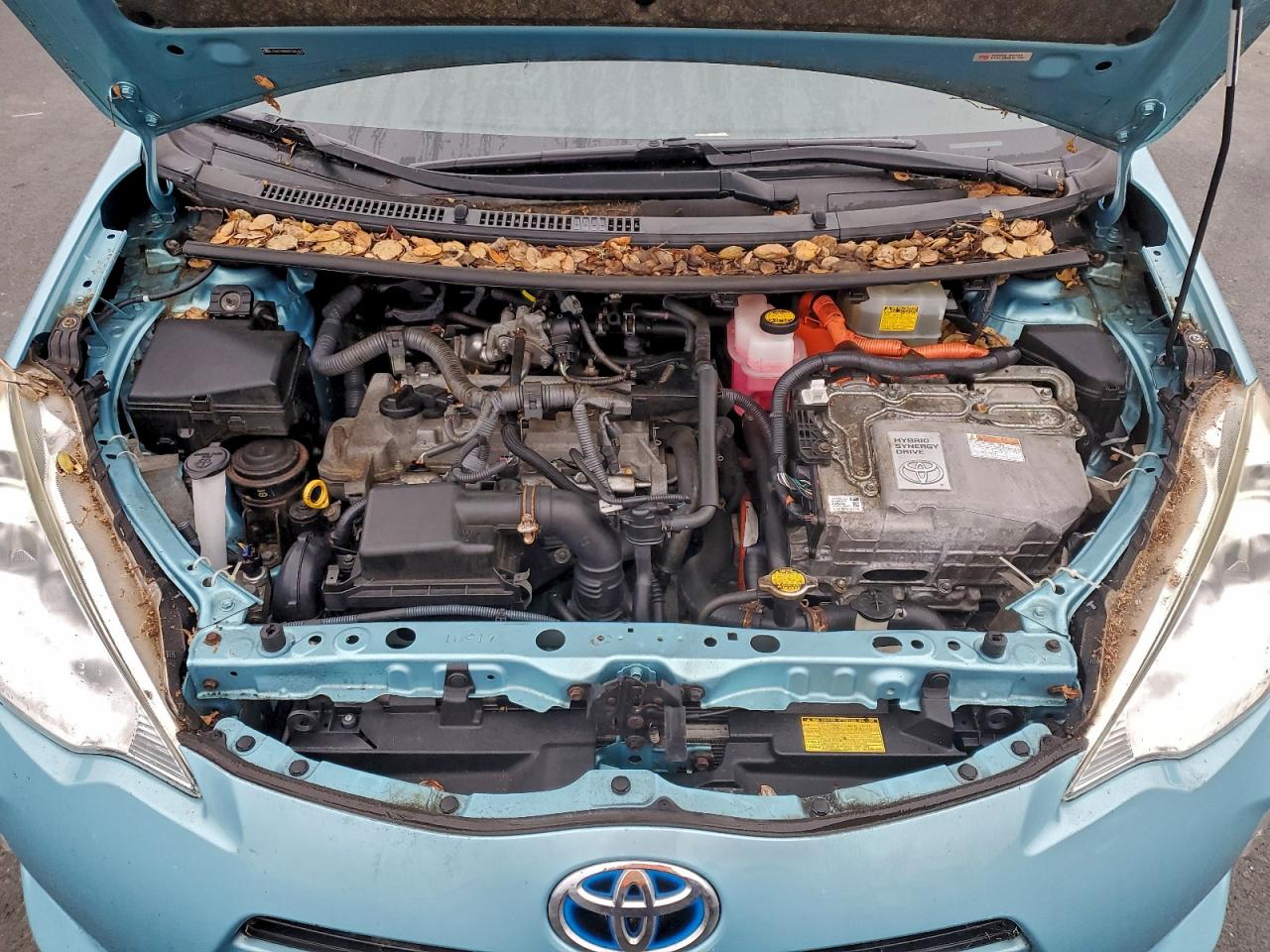 2013 Toyota Prius C VIN: JTDKDTB30D1041623 Lot: 95735615