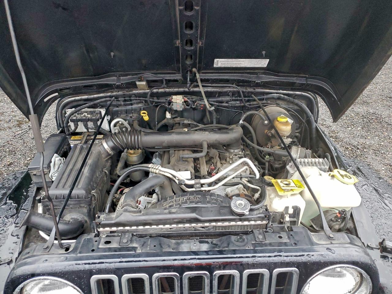 2003 Jeep Wrangler / Tj Sahara VIN: 1J4FA59S43P373475 Lot: 95932865