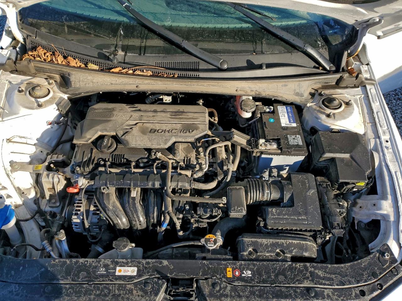 2024 Hyundai Elantra Sel VIN: KMHLM4DG6RU734093 Lot: 97013915