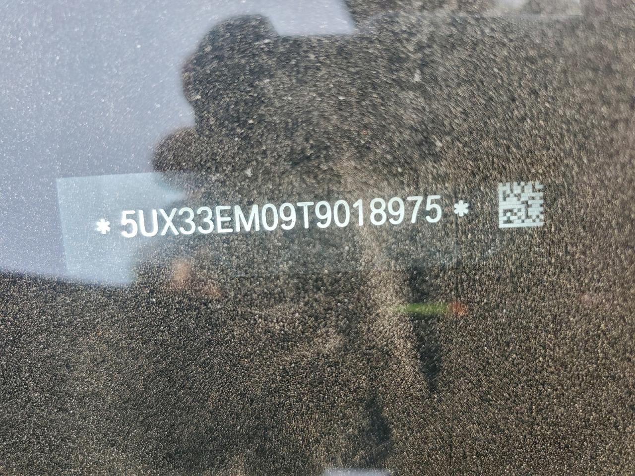 Фото: 5UX33EM09T9018975
