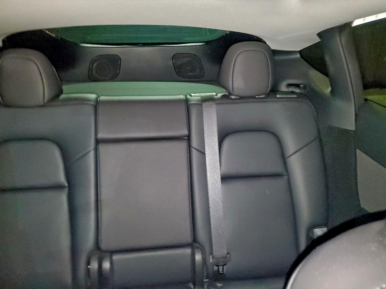 2023 Tesla Model Y VIN: 7SAYGDEFXPF782373 Lot: 95796405