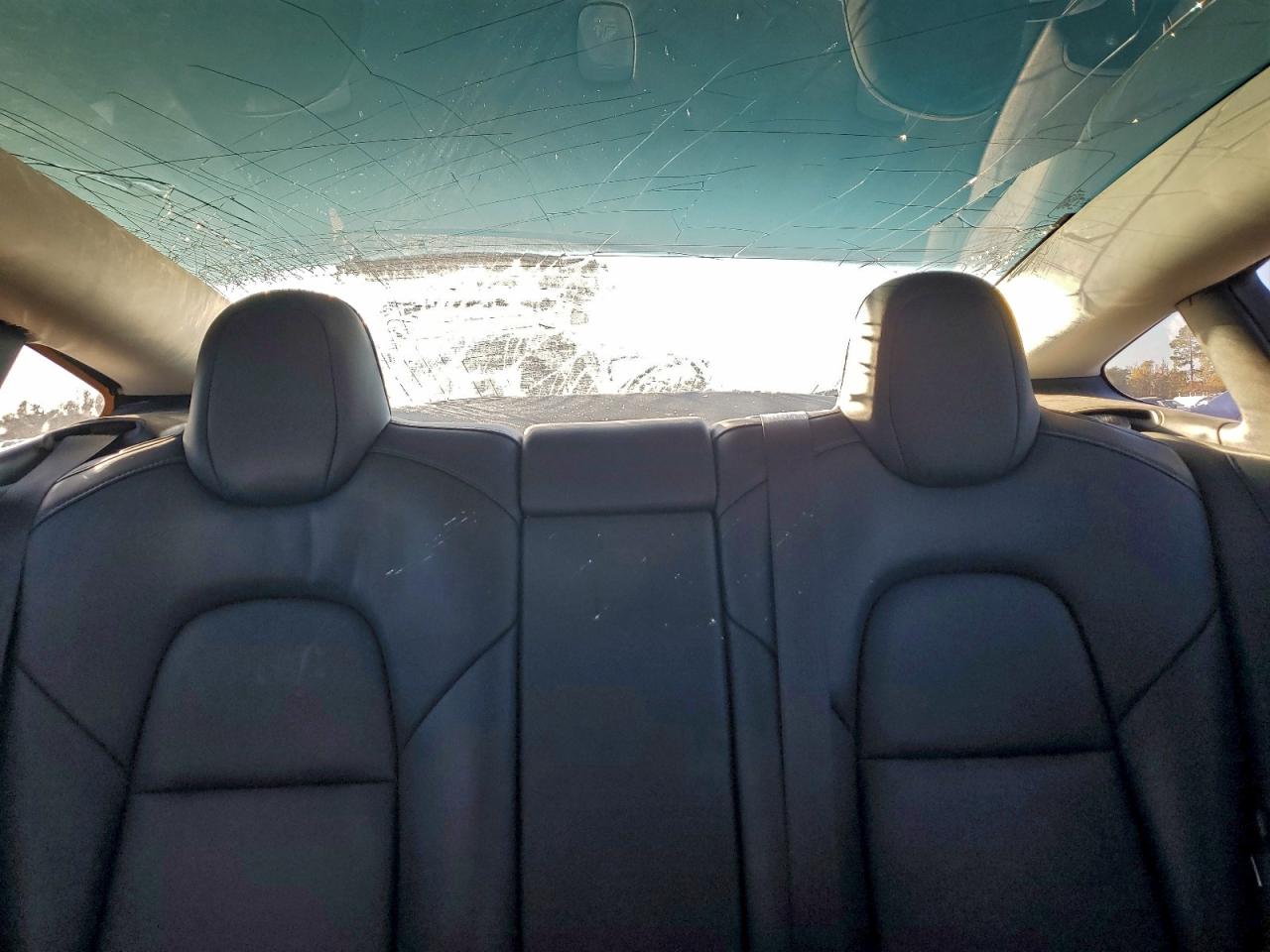 2019 Tesla Model 3 VIN: 5YJ3E1EA8KF313520 Lot: 95839855