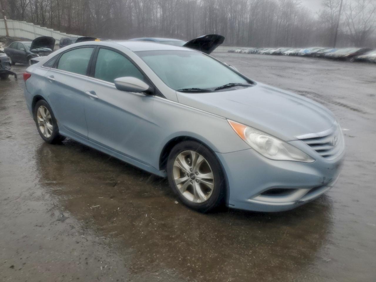 2011 Hyundai Sonata Gls VIN: 5NPEB4AC8BH049307 Lot: 97819275