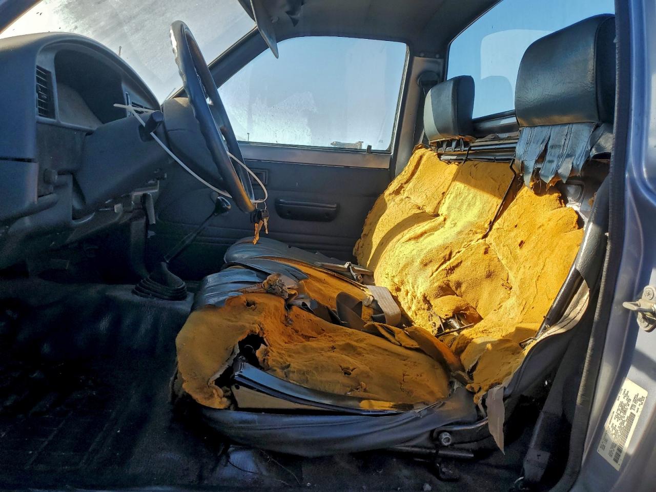 1991 Toyota Pickup 1/2 Ton Short Wheelbase VIN: JT4RN81A7M0065206 Lot: 96237665