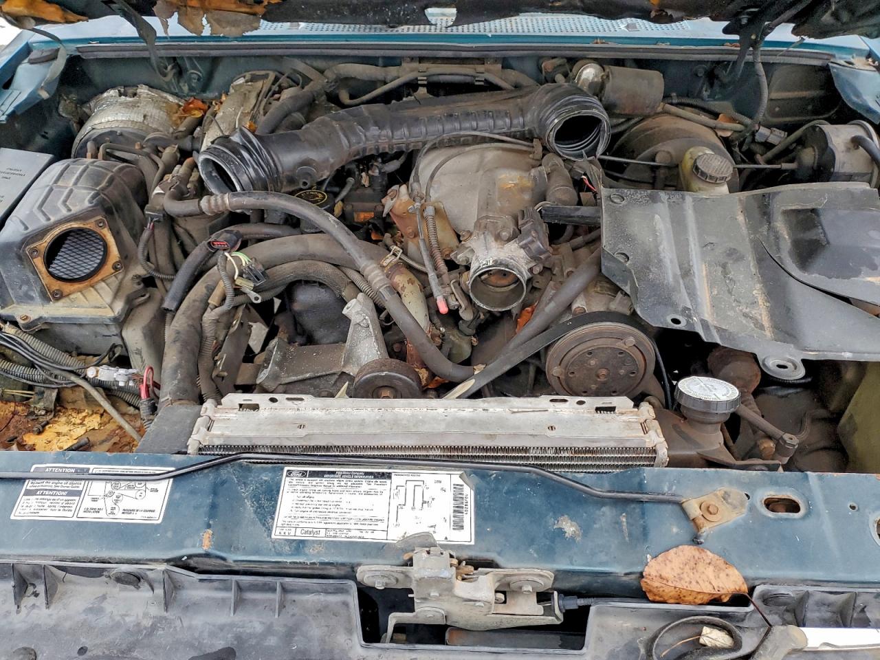 1994 Ford Explorer VIN: 1FMDU34X8RUE17866 Lot: 95075305