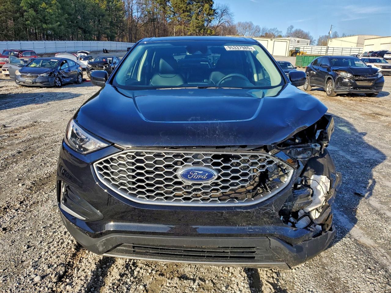 2024 Ford Edge Sel VIN: 2FMPK4J96RBA32455 Lot: 95337985