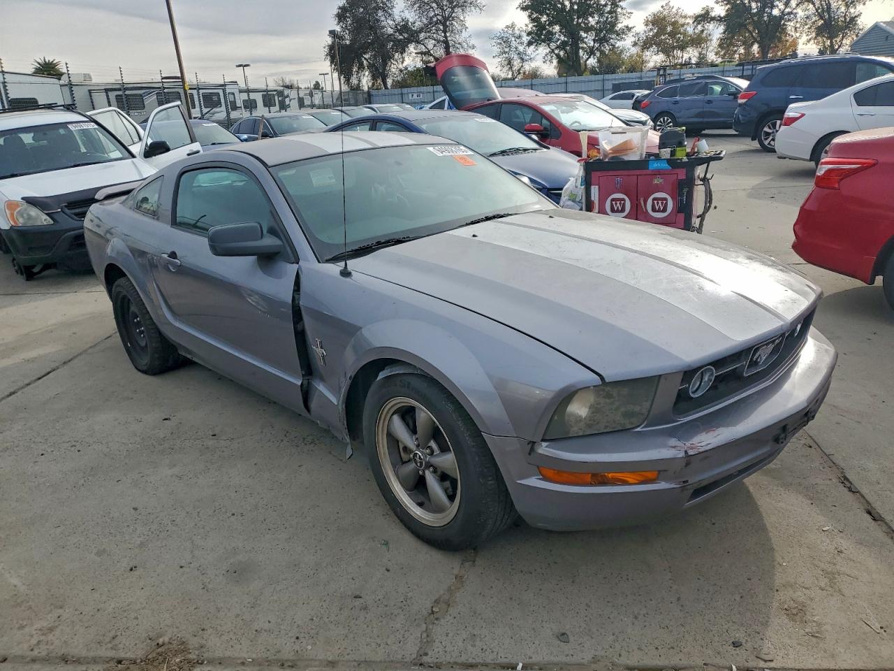 2006 Ford Mustang VIN: 1ZVFT80N365142394 Lot: 94908765